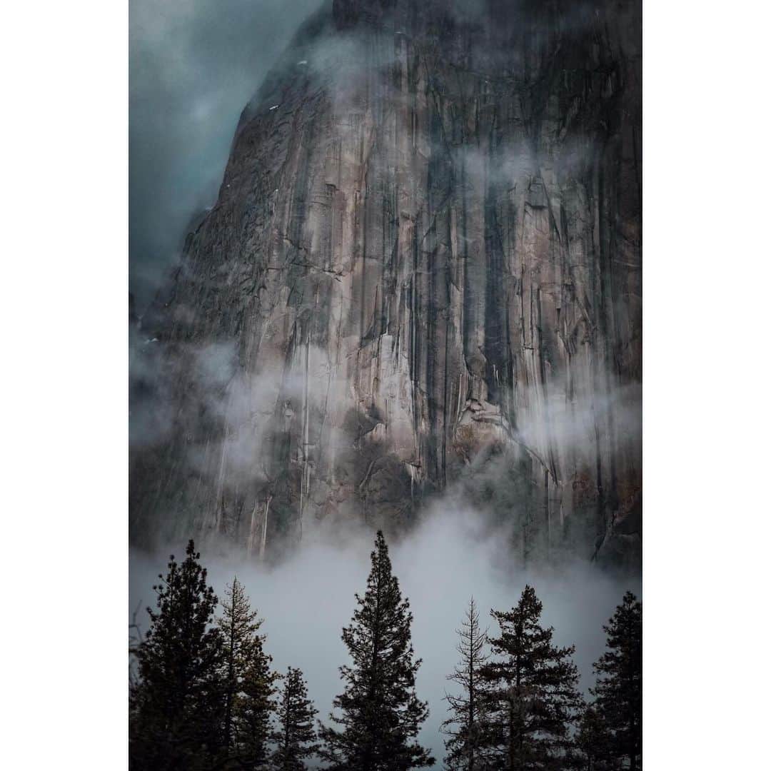 CANON USAさんのインスタグラム写真 - (CANON USAInstagram)「"First time seeing the iconic El Capitan at Yosemite. It was cold, dark and extremely foggy. I was hoping and wishing it would be bright and sunny so I could see all of it’s glory, but I think this turned out way more magical." #MyCanonStory  Photo Credit: @angeljmoreno Camera: #Canon EOS-1D X Mark II Lens: EF 100mm f/2.8 Macro USM Aperture: f/2.8 ISO: 100 Shutter Speed: 1/120 sec Focal Length: 100mm」5月9日 5時00分 - canonusa