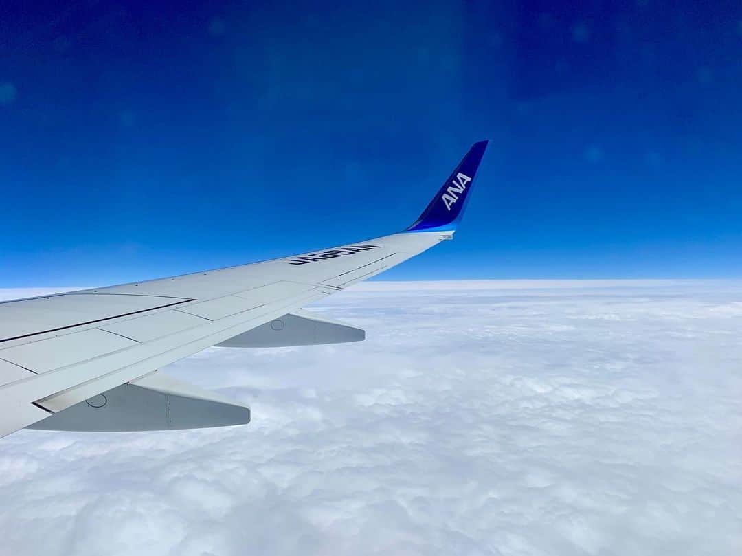 のインスタグラム：「. . 雲の上と、雲の下。 . 中川様と木岡様にイブニングを託して 東京出張に来ています。 …ということで明日のイブニングKOCHIは 中川・木岡ペアでお伝えします。 （2人にはお土産をたくさん買うて帰らんと…） . ※令和最初の投稿 . . #出張 #飛行機 #テレビ高知 #中川実咲 アナ #木岡真理奈 アナ #お土産 待っててね！！！」