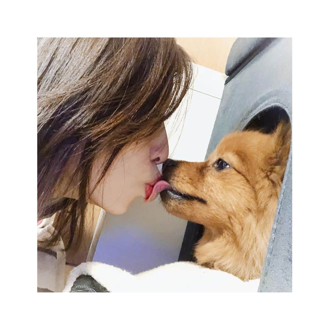 田丸あかりのインスタグラム：「またひとつ歳をとりまして🌼 お祝いメッセージくれたひとたち どうもありがとう💓 . #愛犬 と#家族 と#過ごす #最高 の#誕生日 ✨」