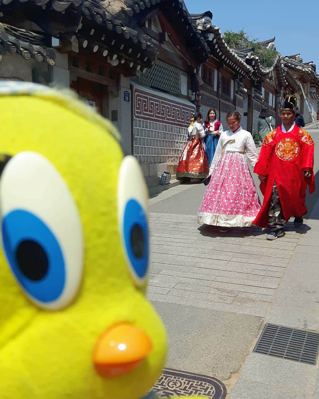 Little Yellow Birdさんのインスタグラム写真 - (Little Yellow BirdInstagram)「Doing my fair share of touristy stuff in Seoul😁 #littleyellowbird #tweety #tweetykweelapis #adventures #yellow #bird #seoul #southkorea #korea #zuidkorea #bukchon #hanbok #bukchonvillage #touristystuff #travel #traveling #wanderlust #holidays #sunnyday #stuffedanimalsofinstagram #plushiesofinstagram」5月9日 16時15分 - tweetykweelapis