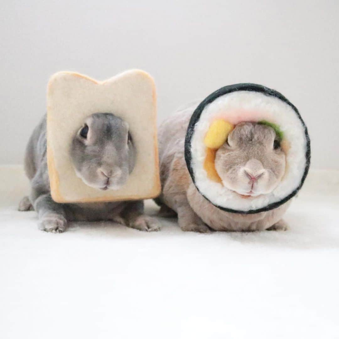 Kayoのインスタグラム：「朝ごはんを食べましょう ・ ・ パン🍞にする？ のり巻きにする？ さぁどっち？？ (両方ってのもあり♡)」