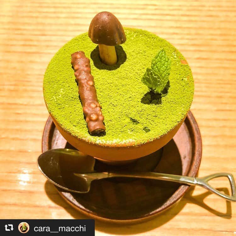 ハレノヒさんのインスタグラム写真 - (ハレノヒInstagram)「#repost @cara__macchi via @PhotoAroundApp  #ハレノヒ #フラワーポット #抹茶スイーツ @cara__macchi様 ご来店ありがとうございます😊お写真も嬉しいです♪ #かわいい#ここでしか食べられない#ケーキ#抹茶#植木鉢#スイーツ#ルミネエスト新宿#東京#cafe#cute#harenohi#shinjuku#lumineest#cake#flowerpot」5月9日 8時15分 - harenohi2006