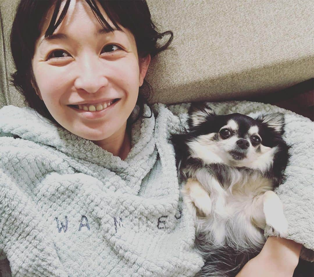 小野真弓さんのインスタグラム写真 - (小野真弓Instagram)「今日はハナちゃんうでまくら〜🐶💓 おはようございます🌞今日も良い一日を^_^ #チワワ#ハナちゃん #いぬすたぐらむ #いぬばか部 #毎日寝起き写真で失礼します#腕枕犬#chihuahua #dogstagram #doglover #小野真弓 この後ヤキモチハルくん乱入💨😂」5月9日 8時42分 - hanaharuaroi