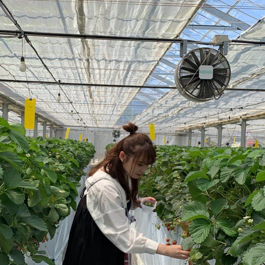 中島早貴のグルメインスタ