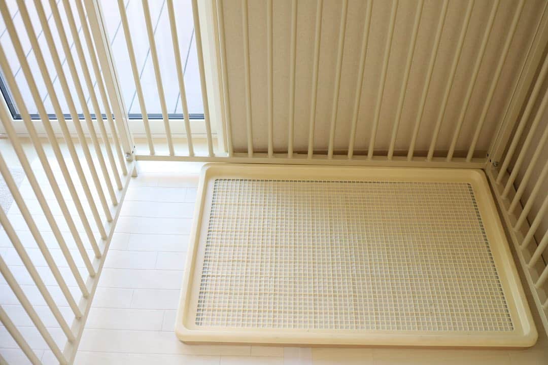 yukiko_ismartさんのインスタグラム写真 - (yukiko_ismartInstagram)「わんこのトイレについてよくご質問いただきます＊  ルディは完全に外or庭でするので 室内にトイレはありません  リードはまだ赤ちゃんなので うんちおしっこ祭り開催中 リビング横の6畳部屋にめちゃデカサークルを置いて 中にトイレを設置。 床は失敗した時掃除がラクなように コーナンで買ったクッションシート 仔犬のうちは、見た目は二の次やー！  しかしほんまこれ めっっちゃ場所くう  笑 テレビ取材の時は生活感でるので外に退けといてください て言われたシロモノ、、のほほほほ  現在トイレ成功率80%くらいまであがってきました やっとやわも〜う。  最終はルディと同じく外でするようになるのが目標です （留守の時間が長いお宅はトイレ必須やと思います！） わが家の🐶トイレ事情でした！  #インスタ改行できるようになっててビビる #暮らしを楽しむ #interior #home  #インテリア #一条工務店  #アイスマート #マイホーム #断捨離 #収納 #片付け #暮らし #掃除 #楽天ROOMやってます #わんこ #いぬすたぐらむ  #パピー #puppy #dogstagram」5月9日 9時17分 - yukiko_ismart