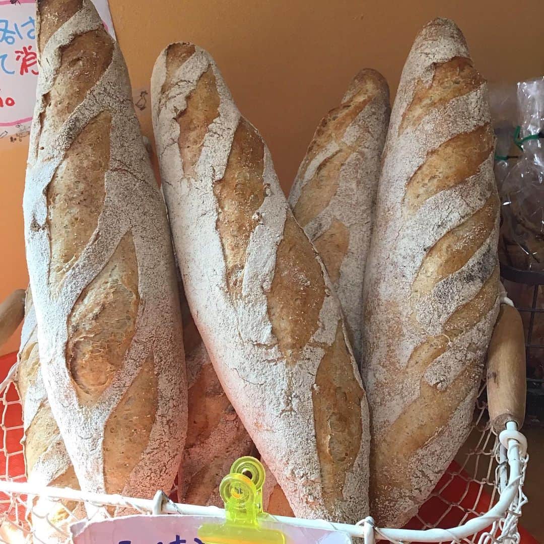 魔女菅原のグルメインスタ