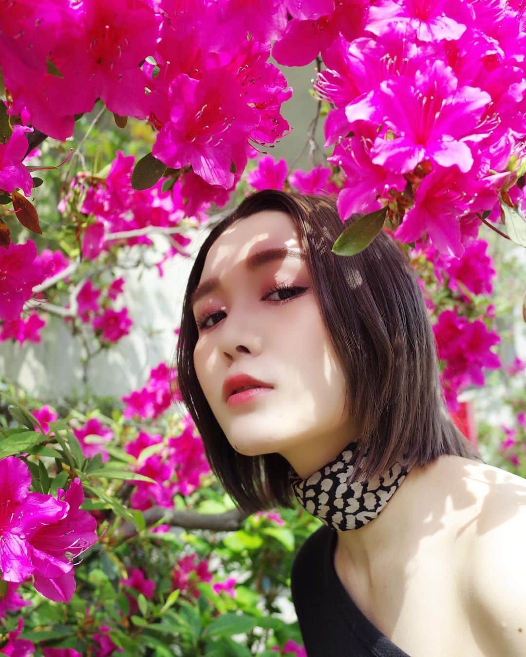 トヲルのグルメインスタ