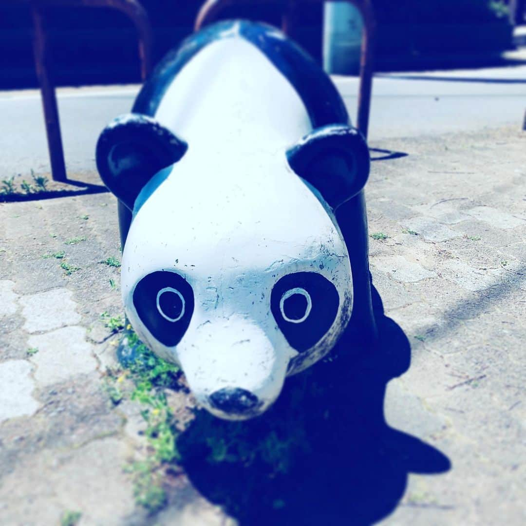 中野敬久さんのインスタグラム写真 - (中野敬久Instagram)「#panda #street #looking #blackandwhite #tokyo #ride」5月9日 10時02分 - hirohisanakano