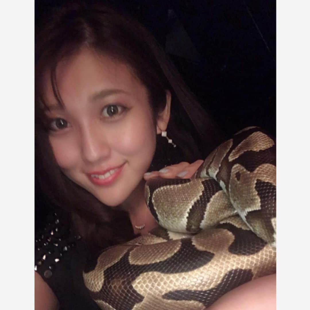 神谷麻美さんのインスタグラム写真 - (神谷麻美Instagram)「#ヘビ 𓆗𓆙💖 #蛇 🐍💓 #snake 👅♥️ 恐かったけど:( ´◦ω◦｀):触りたすぎて巻きたすぎて、頑張って触りました(ง ´͈౪`͈)ว🍌」5月9日 10時49分 - asamice428