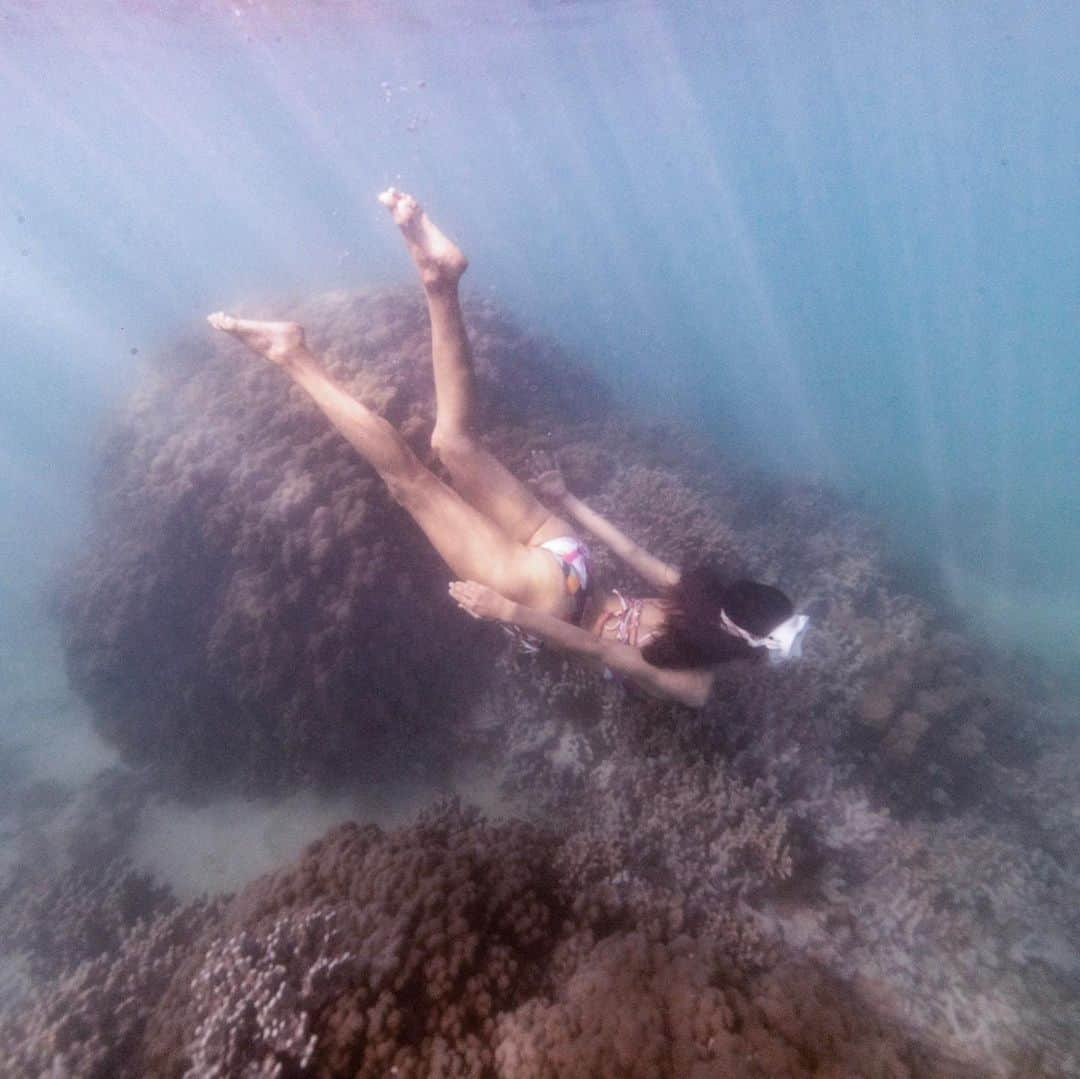 ALEXAさんのインスタグラム写真 - (ALEXAInstagram)「🌈🌻Many of Hawaii’s once-thriving coral reefs are now struggling to recover from recent extreme coral bleaching caused by rising water temperatures ☀️🌡These periodic increased temperatures combined with coastal runoff, fishing pressure and other impacts are all suspected of contributing to slow reef recovery 🌺 If possible, let’s try to help speeding up the process by: - wearing reef-safe sunblock that protects your skin but has no chemicals responsible for hurting the reef 🐠 my fav is from @hawaiimedicinal - Avoiding stepping on and touching of the reef while swimming ☝️ - Using recyclables on the beach, so no new plastics enter the water 🏄‍♀️ - Help organizations dedicated to protecting coral reefs. There are many organizations that work hard to stop destruction of coral reefs. Some even build artificial reefs to replace destroyed or damaged coral reefs. 🏖 My fav: @oceanicpreservationsociety & @coralrestorationfoundation」5月9日 11時03分 - alexa_luczak