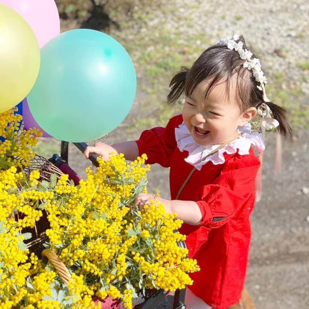 Photobackさんのインスタグラム写真 - (PhotobackInstagram)「お花がたくさん乗っている台車を押して移動のお手伝い😊くしゃっとした笑顔がとってもかわいいですね💕素敵な作品をありがとうございます😄 . ここでは、「春のInstagram投稿キャンペーン」で、#photoback春の思い出2019 のハッシュタグをつけて投稿いただい作品の中から、素敵な作品をご紹介しています。 . 今回ご紹介した以外にも、素敵な春の思い出投稿がたくさんありますので、ぜひ #photoback春の思い出2019 もご覧くださいね✨ . . #photoback春の思い出2019 #春の思い出 #春のおでかけ #平成最後の春 #photoback #フォトバック #フォトブック #思い出 #写真 #photo #写真整理 #ママ #mama #女の子 #キッズ #子育て #コドモノ #ママリ #子育てぐらむ #親バカ部 #こどものいる暮らし #キッズレート #いちご狩り #春爛漫 . ━･･━･･━･･━･･━･･━･･━ #Repost @yrk6_6 ━･･━･･━･･━･･━･･━･･━ ୨୧* . 撮影の合間に私が撮ったやつもupしとこ♪ . やっぱりニコニコ笑顔がいちばんｯ⌄̈⃝💕 . 台車を押すのが気に入ったみたいで 場所を移動するたび、お手伝いしてました♡ ﻿. #photoback春の思い出2019」5月9日 10時56分 - photoback.jp