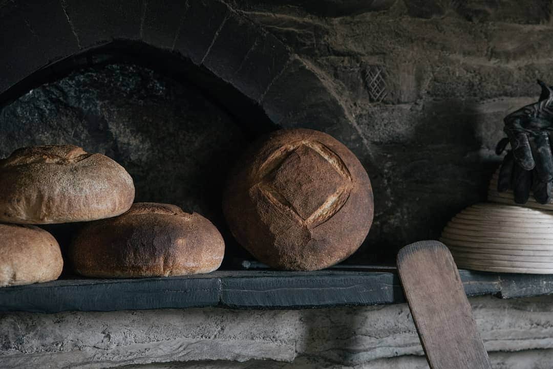 ヒラハルのグルメインスタ