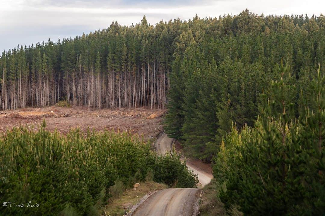 勝田貴元さんのインスタグラム写真 - (勝田貴元Instagram)「‪Recce done for #RallyChile ✅‬ ‪Those are nice stages but not easy for sure!‬ ‪Tomorrow Shakedown stage💪‬ ‪📸 @timoanisphotography ‬ ‪2日間のレッキを終えました。‬ ‪霧でペースノート作りに少し手こずりましたが…😅‬ ‪面白そうだけど、難しいステージでした！‬ ‪明日はシェイクダウンです。‬」5月9日 12時15分 - takamotokatsuta