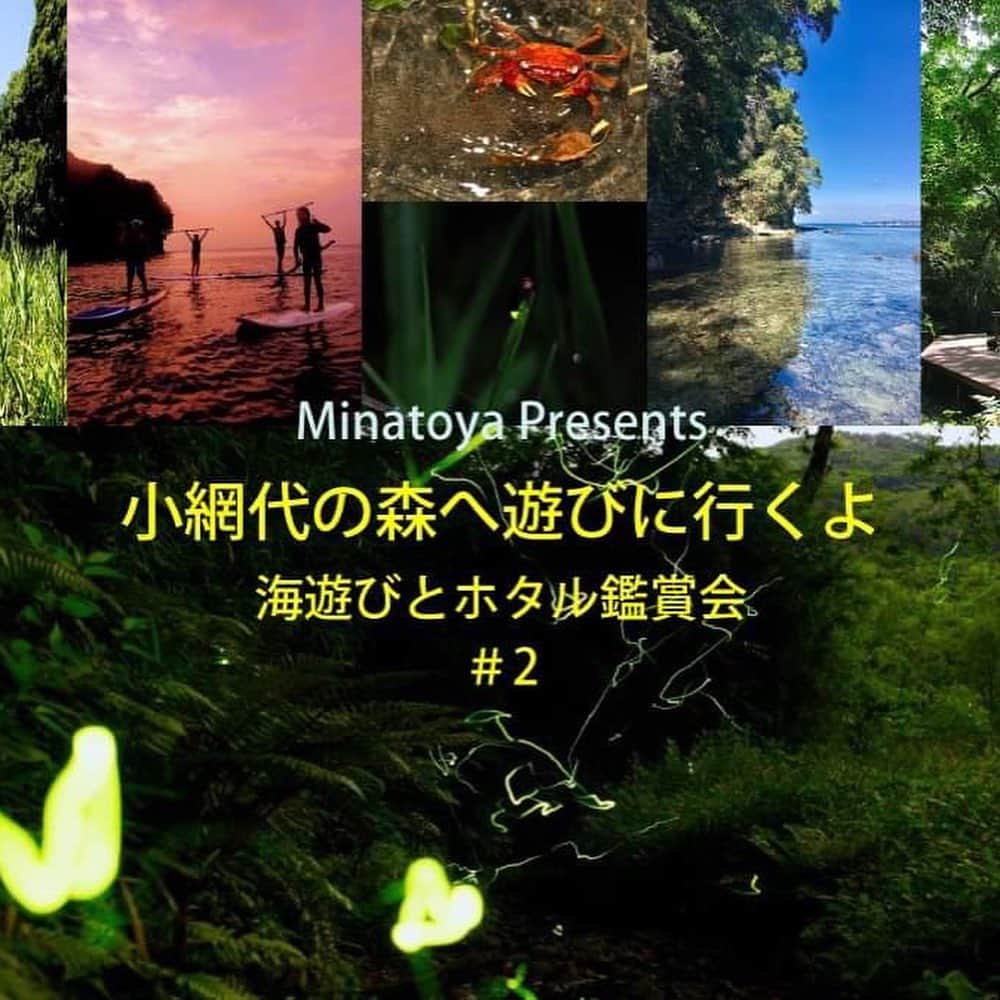 高松いくのインスタグラム