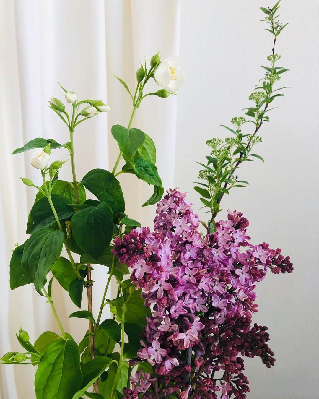 純名里沙さんのインスタグラム写真 - (純名里沙Instagram)「母の日にお花を送ろうと、素敵な花屋さんへ💐 珍しくライラックの花を見つけたので、お家に飾ってみました✨ ・ すてき^ ^ ・ #ライラック #お花 #flowers #flower #5/12は #母の日」5月9日 12時35分 - risajunna3158