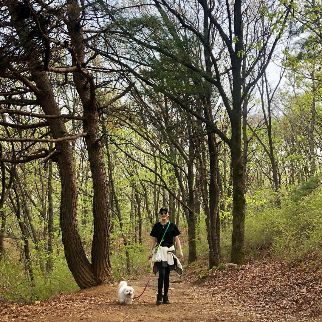 キム・ジェギョン さんのインスタグラム写真 - (キム・ジェギョン Instagram)「저랑 지리산트레킹 하실분!🌿 #광고모델 자세한 사항은 사진을👉🏻👉🏻넘기면 나온답니다! #같이가자아」5月9日 12時39分 - _kimjaekyung_