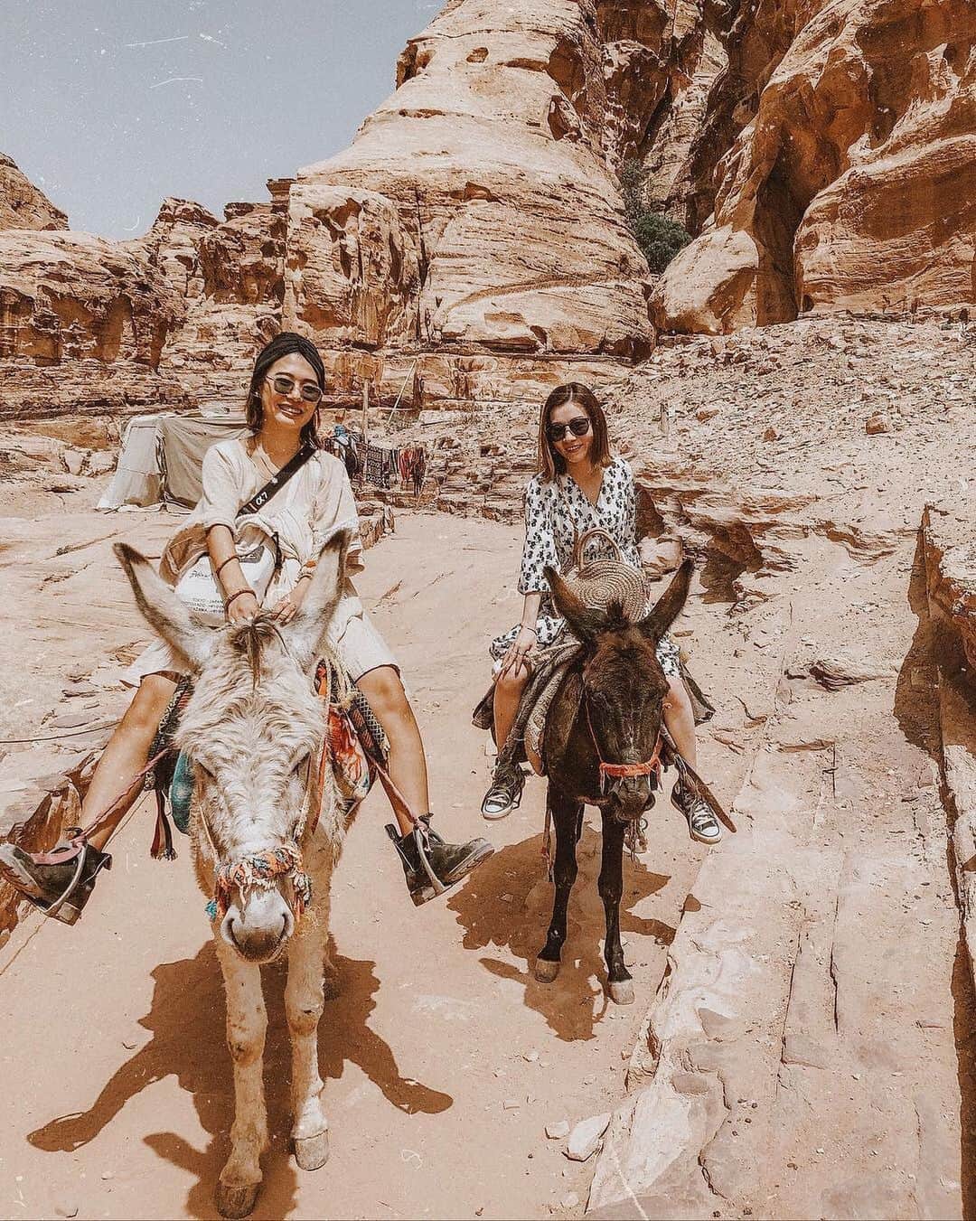 のインスタグラム：「こんにちは😊 ヨルダンのお写真は 「#タビジョ」とあわせて 「#tabijyomap_Jordan」でお待ちしてます✨ 本日はこちら💕 ＊＊＊＊＊＊ 📸@lifestock_yuukiさん 🚩ヨルダン・「ペトラ」 🎙ご本人コメント ペトラではちょい楽してドンキーに乗った🐴 . マジで何百段もある階段をサクサク登って足腰強過ぎた🙄 そして大人しいしドンキー本当良い子だったなぁ。 . ペトラの中は何をするにもお金が掛かるし、 ヨルダン全体的に観光物価高め💰 けど折角だから思い出として良しとしよう🤢💕 ＊＊＊＊＊＊ 一生に一度は行ってみたい場所です✨ いつも、素敵なお写真ありがとうございます😊 ＊＊＊＊＊＊ [今週のタビジョツアー人気ランキング💁‍♀️］ 3位 <再びBEST3に返り咲き！> 「タビジョモロッコ9日間ツアー」19.98万円～ 都心からアクセス便利な羽田発着✈️ 青い街シャウエンと3大世界遺産を巡る😆 各都市フリータイムあり！ 2位 <4週連続2位！> 「タビジョベトナム周遊6日間ツアー」7.48万円～ →ベトナム(ホーチミン・ダナン・ホイアン)のいいとこどり女子旅ツアー💁‍♀️ ホイアン3大名物料理の夕食など嬉しい食事7回付✨ 1位 <4週連続1位！> 「タビジョはじめて奄美大島3/4日間ツアー」2.58万円～ →滞在中レンタカー乗り放題🚗 青い海と青い空に囲まれたリゾートHOTEL滞在🏨 ※詳細は、アカウント🔝のURLから チェックしてください😊 @tabi_jyo ＊＊＊＊＊＊ #タビジョ #タビジョと繋がりたい #tabijyomap_Jordan」