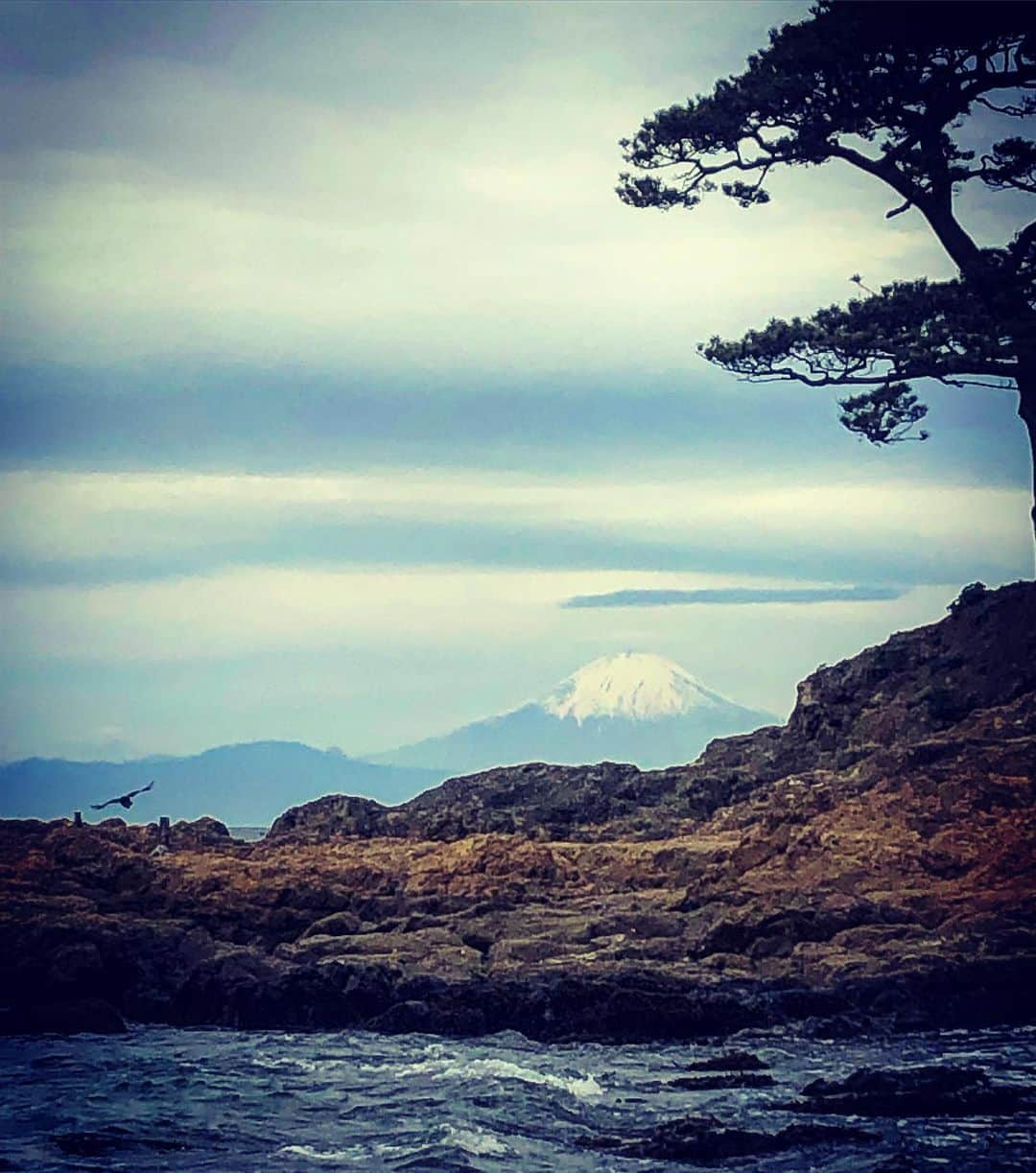武藤昭平さんのインスタグラム写真 - (武藤昭平Instagram)「曇ってるのに富士山の全景がはっきりと見える不思議な現象。美しいです。#富士山 #fujiyama #葉山」5月9日 13時07分 - syoheimuto