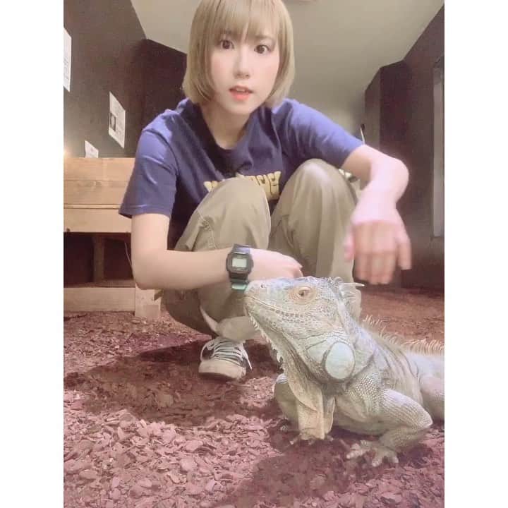 高松雪乃のインスタグラム