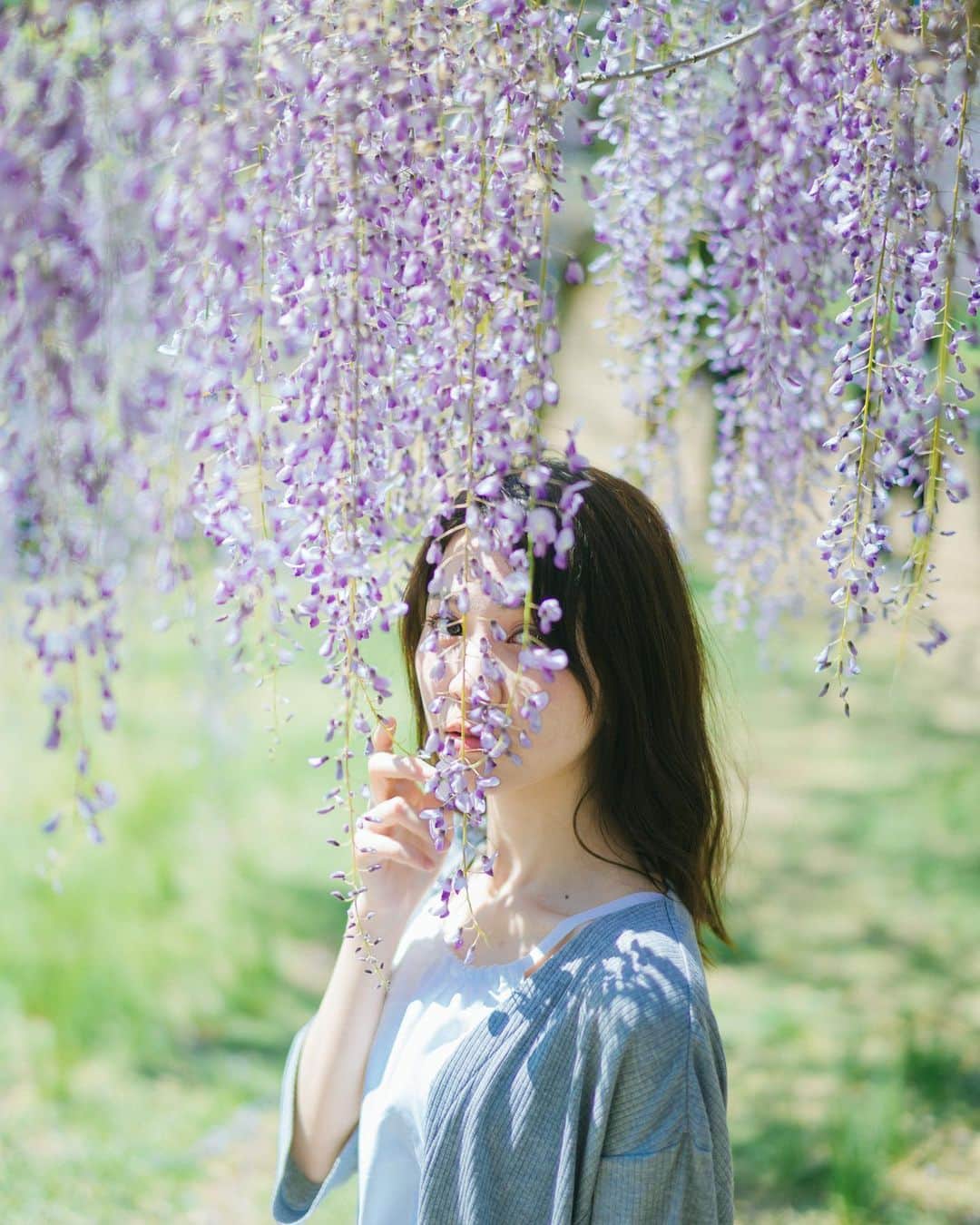 sorayuchiのインスタグラム：「・ 木漏れ日がスキです☺︎ カメラの難しい事はわかりませんが、GFX50Rの光と影のコントラストがめっちゃスキ♡」
