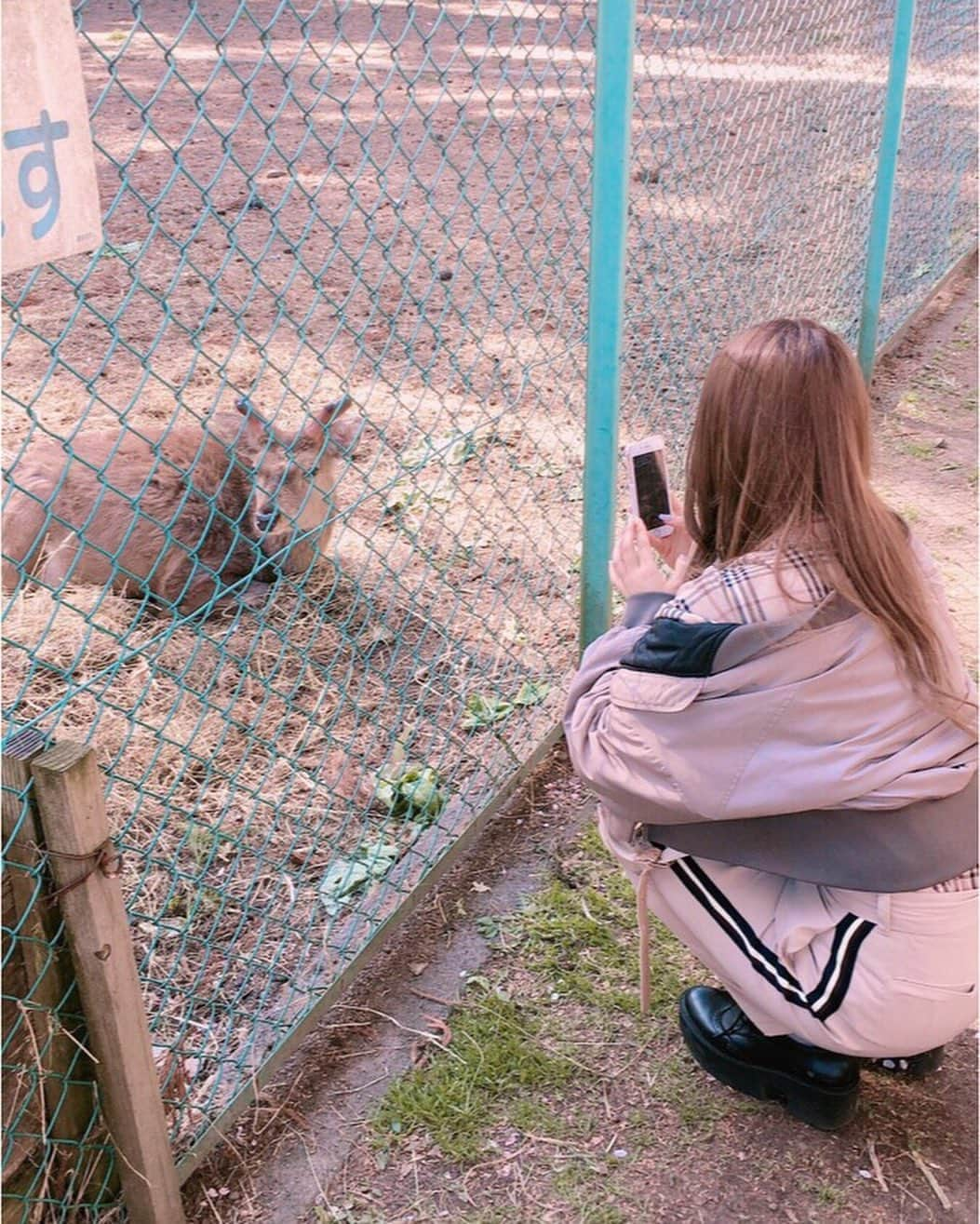 西村季里子さんのインスタグラム写真 - (西村季里子Instagram)「・ GWの思い出⑤🦌🌷 ・ 城山公園にシカとかウサギとか 動物がたくさんいて癒された🐰💓 最近動物園いきたい欲があったから 満たされた🐄🦍🐘🦒🍀 子どもと動物と友だちと触れ合えて 楽しいお花見でした🙂🌸 #GW#ゴールデンウィーク #10連休  #青森県#青森#あおもり#地元#三戸#城山公園 #動物#シカ#うさぎ#にわとり#🦌#🐇#🐓 #上野動物園#いきたい#お花見#🌸 #令和#奉祝#followme #follow」5月9日 13時25分 - kiriko_nishimura