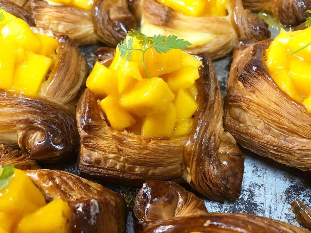 笹塚駅のパン屋さん オパンのグルメインスタ