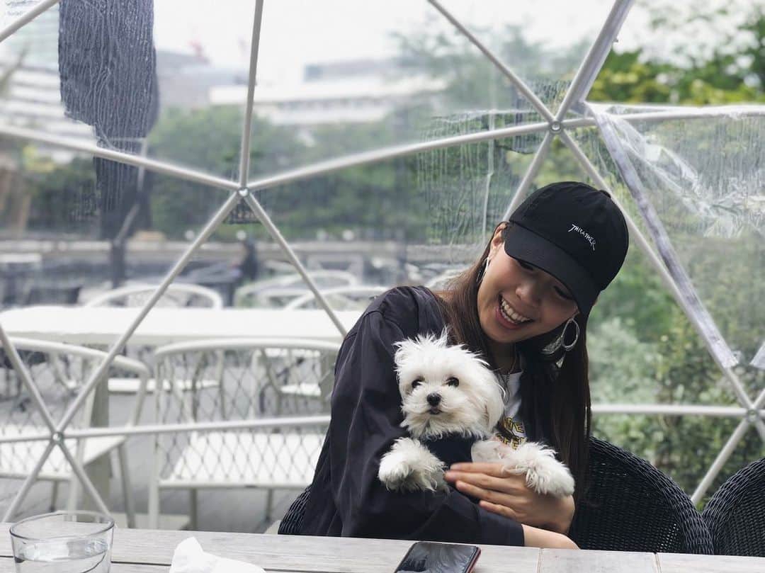 のインスタグラム：「#犬とランチ 🍴 #ボサボサな犬 #されるがままな犬」