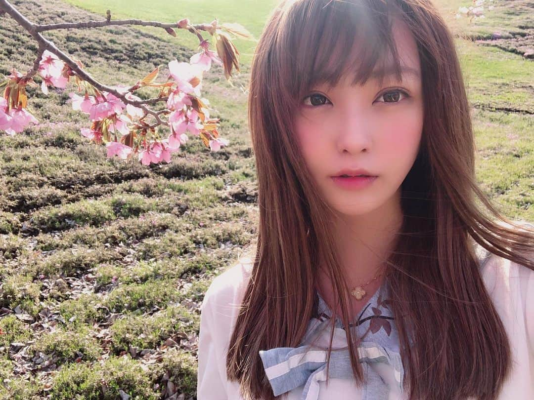 てんちむさんのインスタグラム写真 - (てんちむInstagram)「生まれてこのかた、こんな綺麗な桜をお目にしたのは初めてだ by 津別の双子桜＆美瑛の青い池」5月9日 13時54分 - super_muchiko