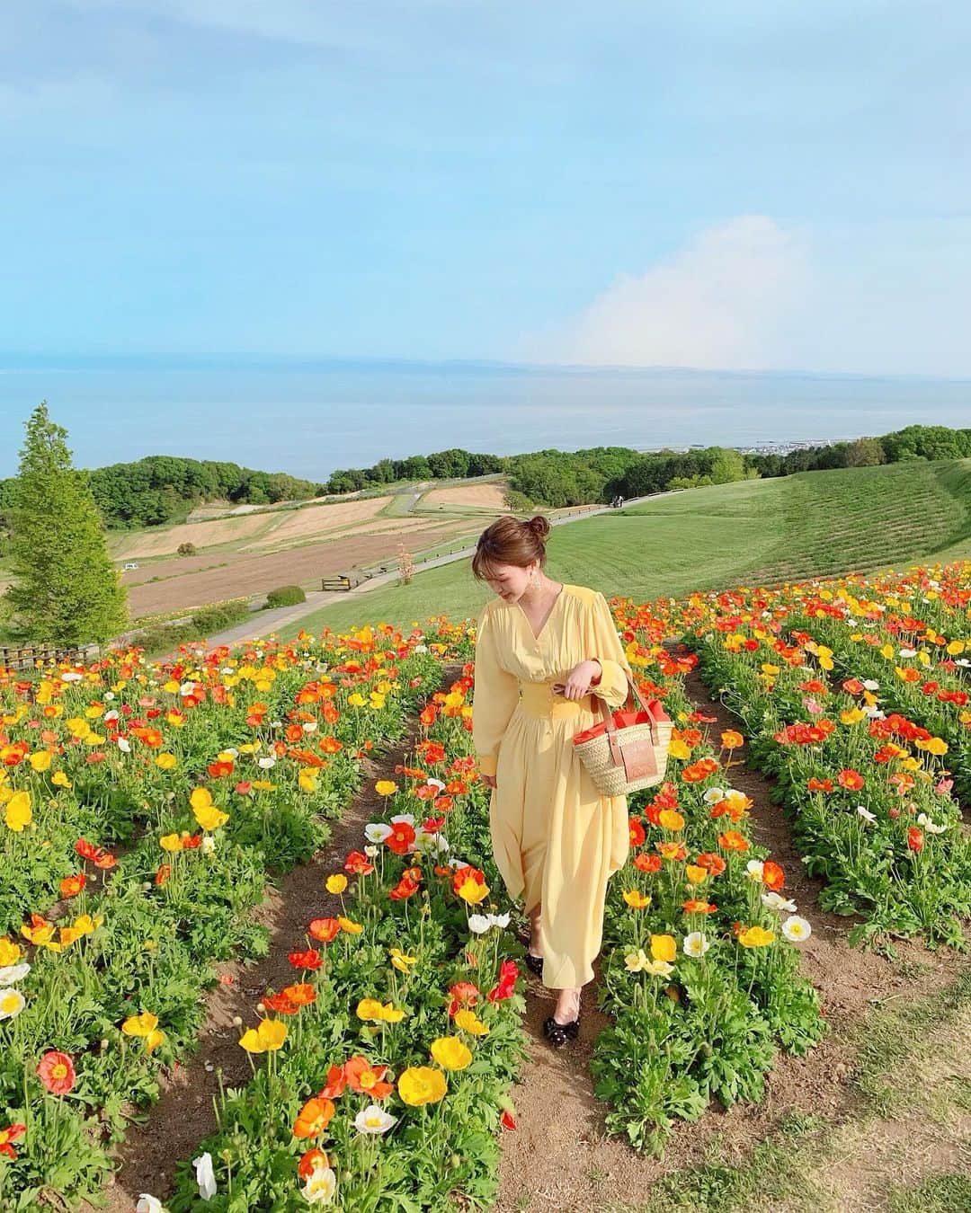 藤川沙弥のインスタグラム：「🇴 🇺 🇹 🇫 🇮 🇹 ﻿ ﻿ 快晴すぎる気持ちの良い日☀️ 去年初めて行って 感動したのを思い出して﻿ 今年も綺麗に咲くポピーを リンと見に行きました🐶🏵﻿ ﻿ ﻿ 質問✉️頂いてましたが﻿ ポピーのカラフルな花畑にも負けない﻿ イエローの可愛いワンピは﻿ @romile_official のです💛👗✔️」