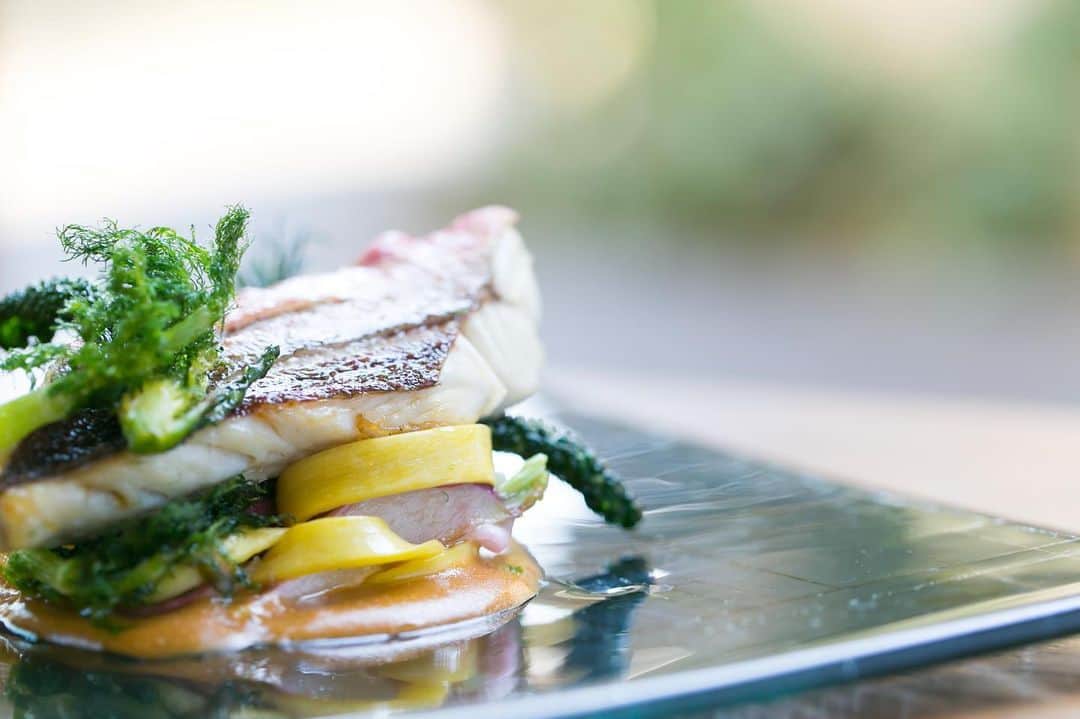 ラクラリエールのグルメインスタ