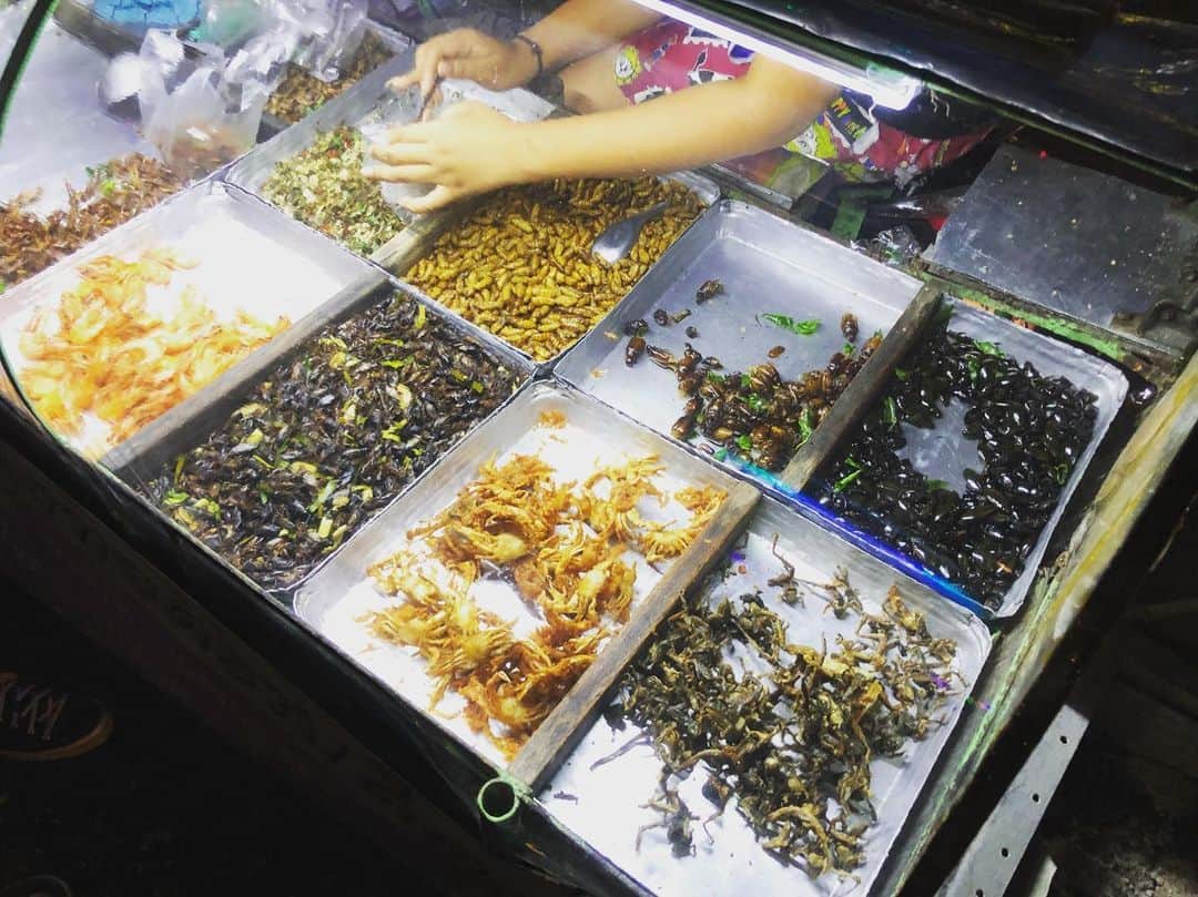 篠原祐太のインスタグラム：「夜食はもちろんこの子たち🦗 Happy night market in Bangkok🇹🇭 #thailand #bangkok #market #cricket #travel #food」