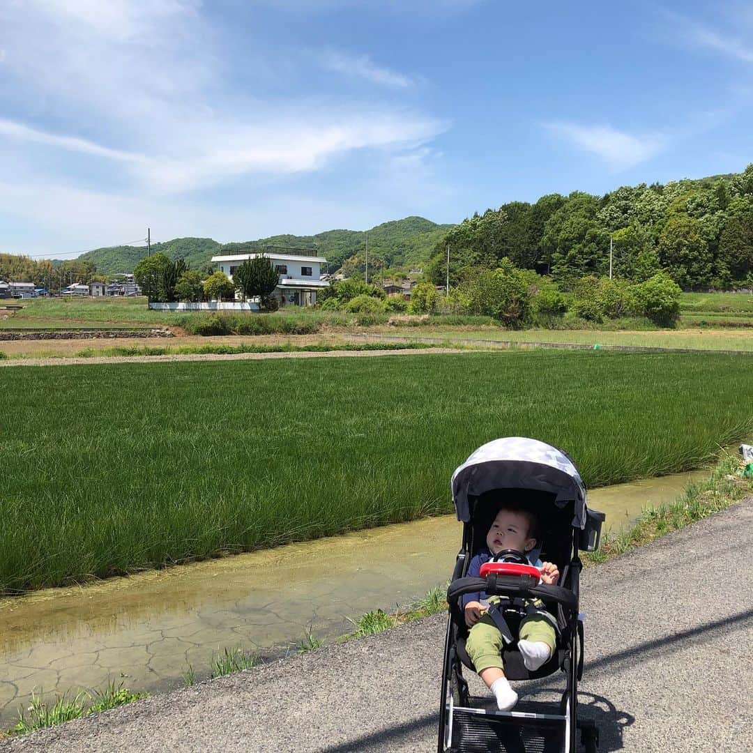 平田亮介さんのインスタグラム写真 - (平田亮介Instagram)「少し実家に帰ってました！ 地元だけど観光客みたいなことしました😂親戚にもペット達にも会わせれて良かった😎 田舎もいいですね〜😏 #尾道観光 #尾道ラーメン #からさわ #千光寺 #府中焼き #やまこう 笑」5月9日 14時40分 - ryosukehirata