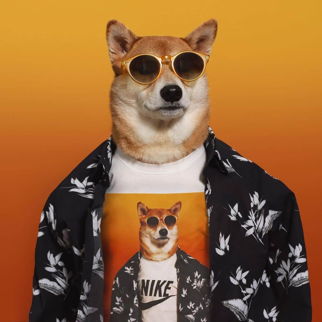 Menswear Dogさんのインスタグラム写真 - (Menswear DogInstagram)「This one’s titled “Dog wearing a Nike T-Shirt of a Dog wearing a Nike T-shirt”  Thank you to @nikesportswear for making this capsule collaboration possible 🙏🏼 Cop via link in bio 👌✨」5月10日 2時13分 - mensweardog