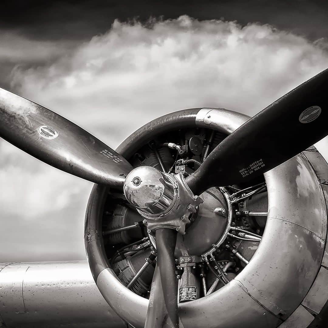ゼニスのインスタグラム