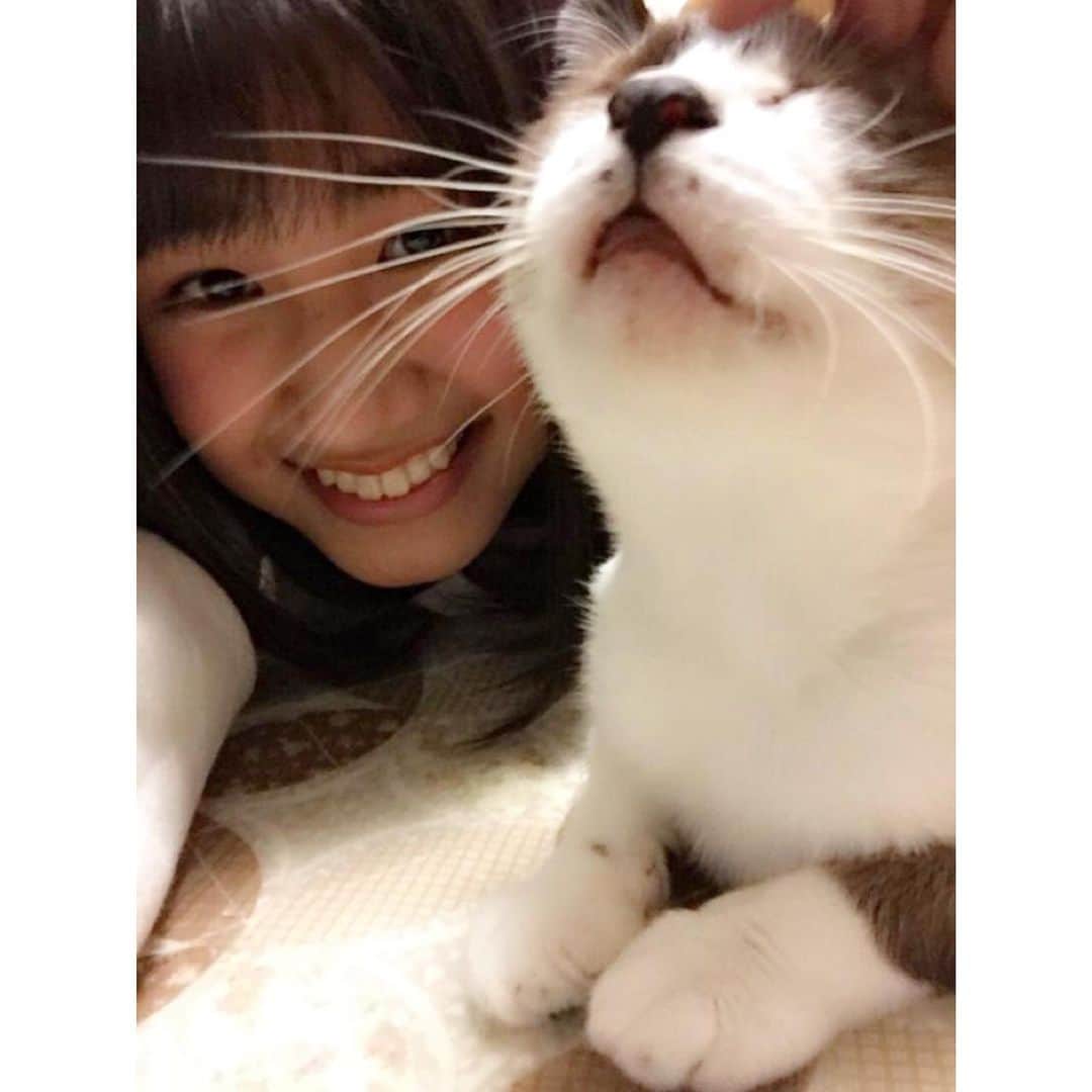 南口奈々のインスタグラム：「. おやすミル(=・ω・=) #幼きふたりにゃ  #ほくろにゃんこ #ミルスタ #instacat #ネコスタグラム #猫 #ネコ #にゃんこ #cat  #ふわもこ部 #ペコねこ部 #スノーシュー #靴下にゃんこ #南ななこ」