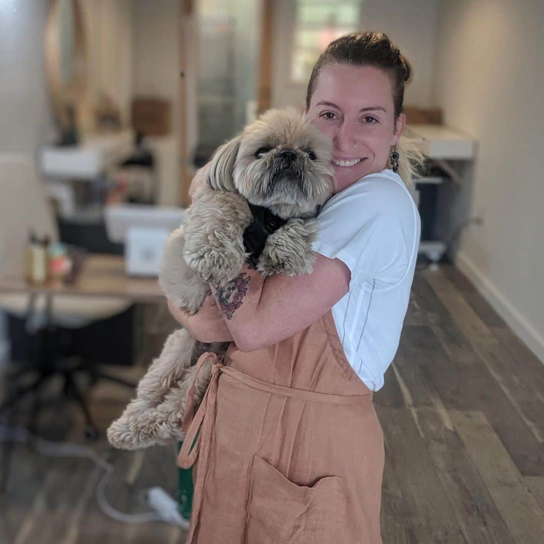 Dougie the Shih Tzuさんのインスタグラム写真 - (Dougie the Shih TzuInstagram)「First haircut in Gina’s brand new shop in downtown Napa — congratulations, @dogs.by.gina!」5月10日 1時33分 - dailydougie