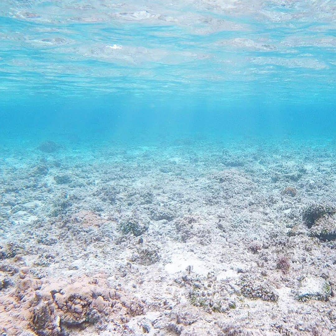 柴田あやなさんのインスタグラム写真 - (柴田あやなInstagram)「阿嘉島のビーチ 🐠  こんなに透明な海初めて見た… ❤︎ １番最後に魚たちの動画載せました！本当はもっと色んな種類の魚がたくさんいた！ウミガメには会えなかったからリベンジしたい✌🏻 泳いでる魚が足元にたくさんいると思うと怖かった！！（笑）小学生たちに混じって浮き輪必須だったよ、、照  #慶良間諸島 #阿嘉島 #北浜ビーチ」5月9日 17時58分 - shibaobasan