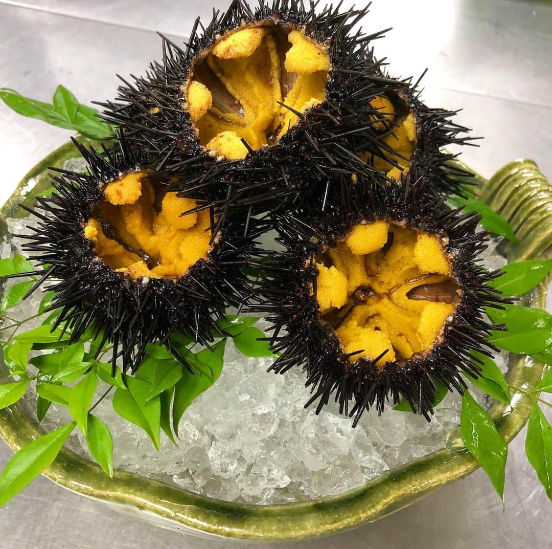 寿司居酒屋 番屋のグルメインスタ