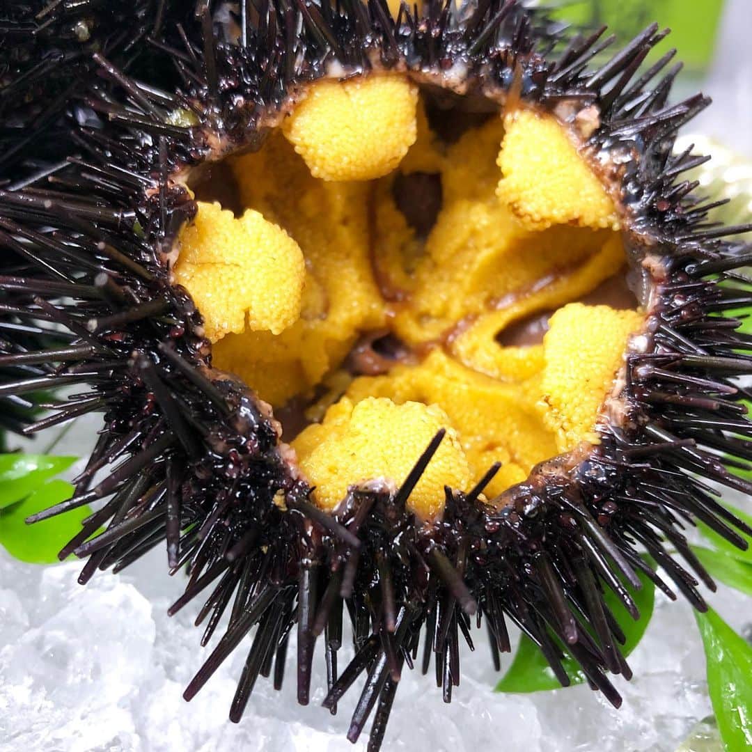 寿司居酒屋 番屋のグルメインスタ