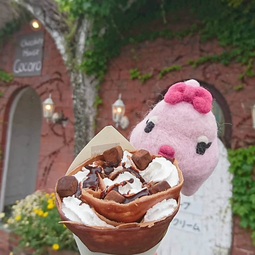 南日本新聞フェリアのグルメインスタ