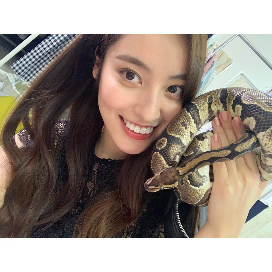 鍋谷真子のインスタグラム：「撮影現場で出会ったヘビ♥︎🐍ほんとに可愛すぎて蛇飼いたい飼いたい飼いたい！て思ってたけど、ご飯はネズミときいて葛藤中🙎🏻‍♂️ #蛇 #ハムスターのいる生活 #複雑 笑 今日も1日お疲れ様でした♡」