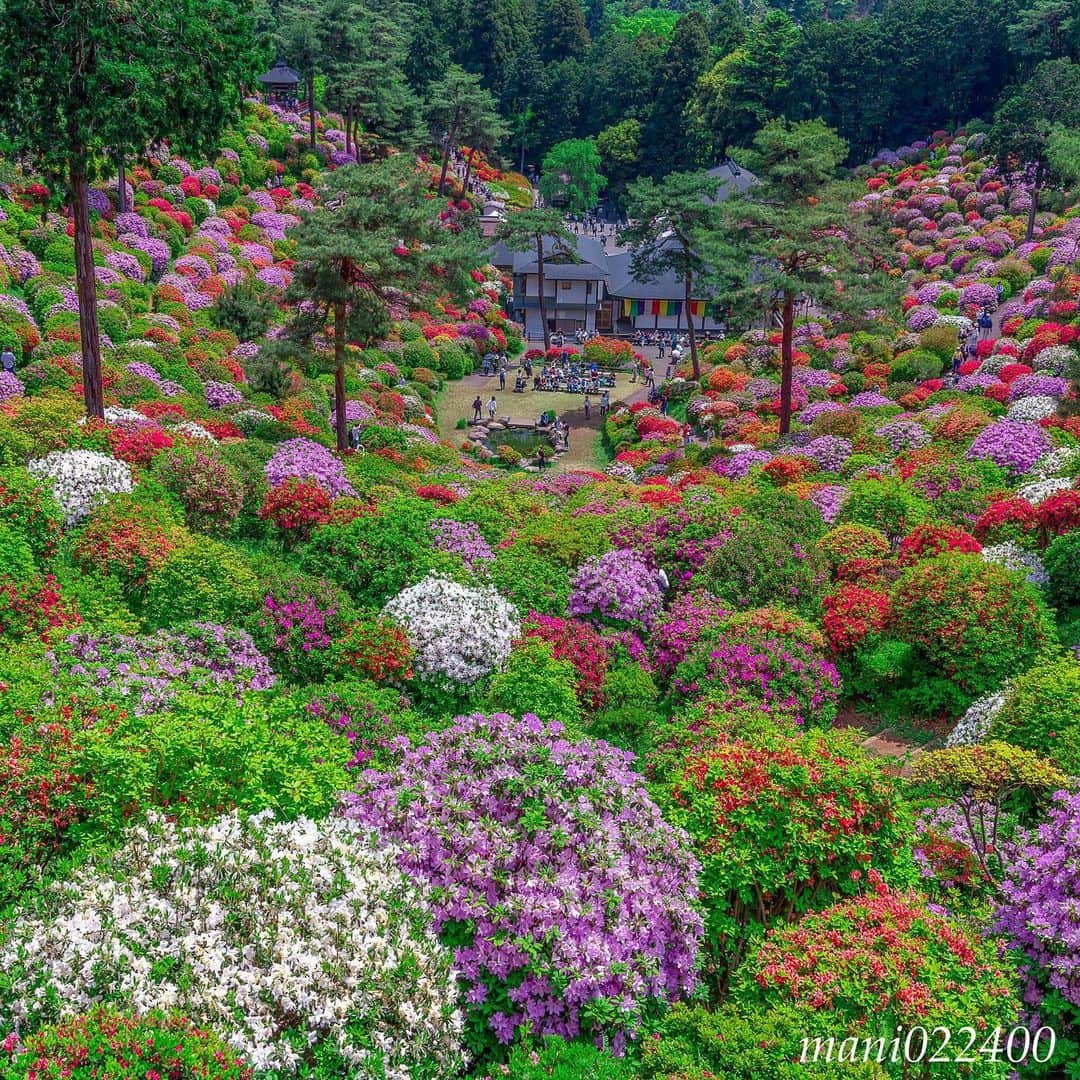 mani022400のグルメインスタ