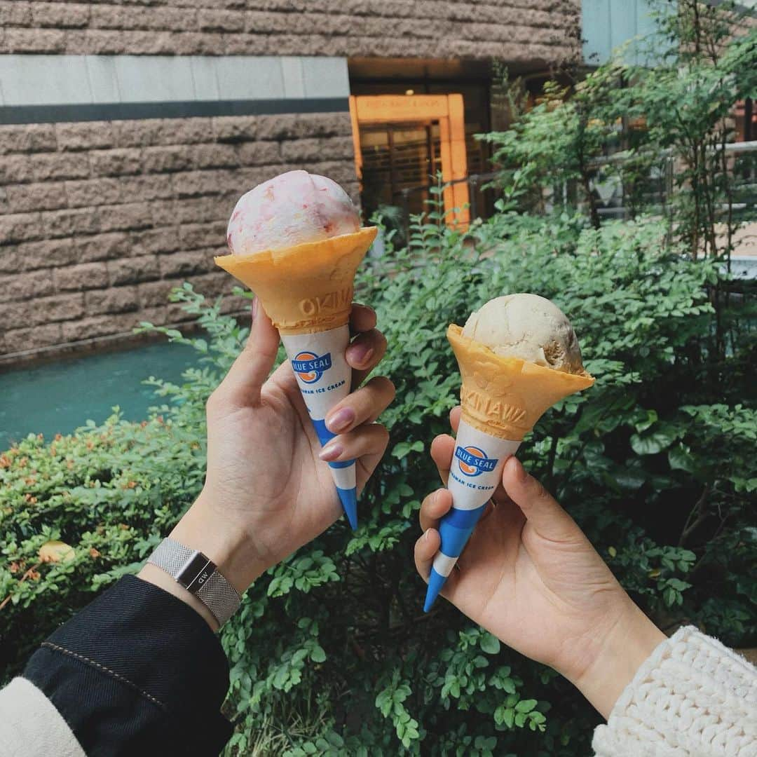 鹿の間さんのインスタグラム写真 - (鹿の間Instagram)「キャナルにブルーシール出来てた🍦💓 沖縄で食べた時美味しくてまた食べたいって思いよったん！ しかも丁度今日5月9日はアイスの日らしくシングルアイスとソフト200円やった。ラッキー！ ストロベリーチーズケーキ頼んだんやけどチーズケーキゴロゴロで極ウマでした。 アイスもモチモチ食感でアイスあまり食べない私でも食べに来たくなる。福岡に出来てくれてありがとう -------------------------------- #ブルーシール#blueseal#アイスクリーム#福岡初上陸#南国デザート#沖縄 #アイス部」5月9日 18時58分 - rhodon41