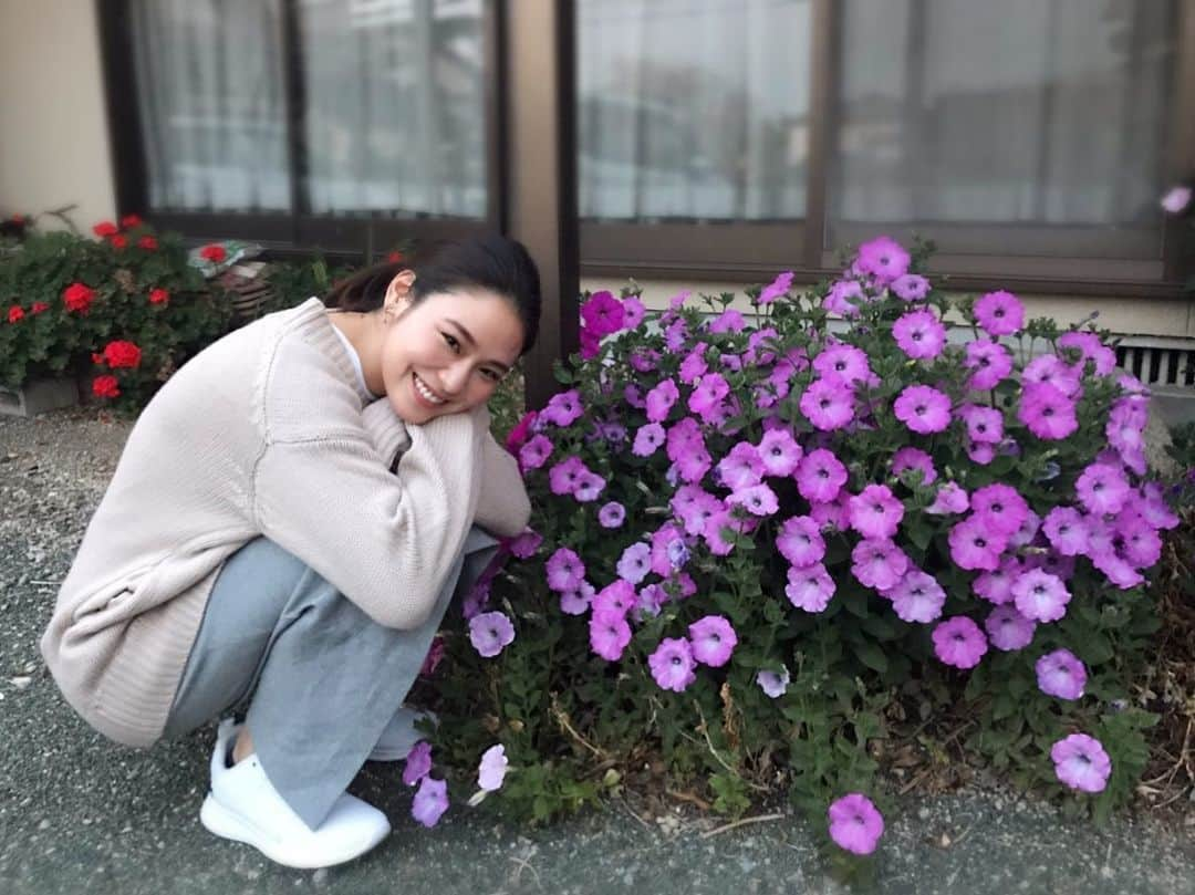 工藤采佳さんのインスタグラム写真 - (工藤采佳Instagram)「熊本のおじぃちゃんが大切に育てたお花❁ とっても綺麗な色合いで可愛い🥰🌷 いとこのおじちゃん撮影なんやけど 写真撮り始めたら止まらんくなって 途中から撮影会みたいになったwww おかげで熊本での写真がいっぱいあり〼 おじちゃんありがとう〜🙇‍♀️🙏💕 . . . #ペニチュア #花 #熊本 #実家 #庭 #花壇 #趣味 #お爺ちゃん」5月9日 19時21分 - kudo__ayaka