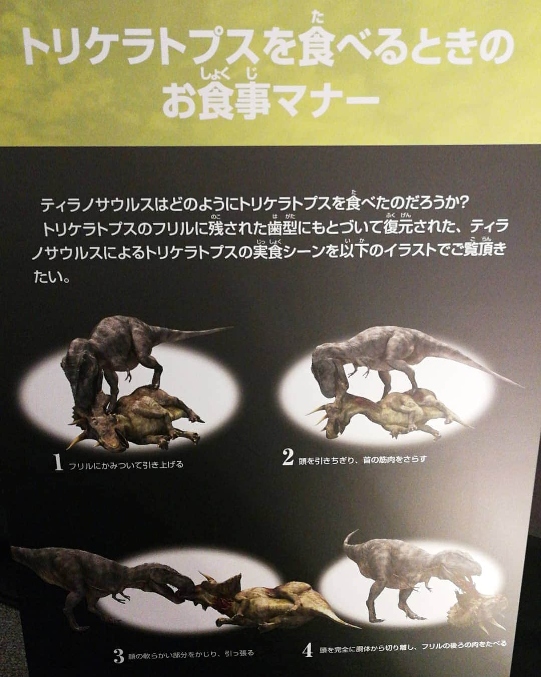 林智美 さんのインスタグラム写真 - (林智美 Instagram)「大恐竜展🦖  ティラノサウルスロボは めちゃめちゃ迫力あったけど、 展示の規模はちと物足りなかったかな🤔  ティラノサウルスのお食事マナーは笑った🤣  #大恐竜展 #なんばスカイオ #恐竜 #ティラノサウルス #大阪 #なんば #難波 #実は恐竜好き」5月9日 19時38分 - h_tomomi_i