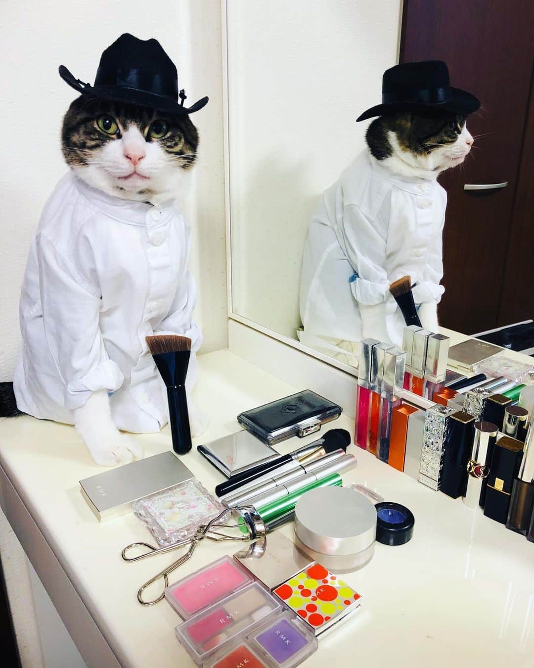 マロさんのインスタグラム写真 - (マロInstagram)「💄メイクの日💄 ▶️SWIPE 『メイ（May）ク（9)』と読む語呂合わせから制定されたそうです。 May 9 is the day of Makeup in Japan. ☆ いつもコメントありがとうございます😸🙏💞 返信出来ない時が多くてすみません🙇‍♀️ 全て拝見しています🐾 ☆ Thank you for your kind comments😸🙏💞 I'm sorry that I couldn't reply. ☆ #cat#cats#catsofinstagram#😻 #sweetcatclub#japaneseculture  #makeup#makeupartist#にゃんこ #ねこ#ネコ#猫#ねこ部#ふわもこ部  #みんねこ#今日は何の日#メイク #メイクの日#メイクアップアーティスト#キジトラ白#キジトラ#化粧品 #猫との暮らし」5月9日 20時08分 - rinne172