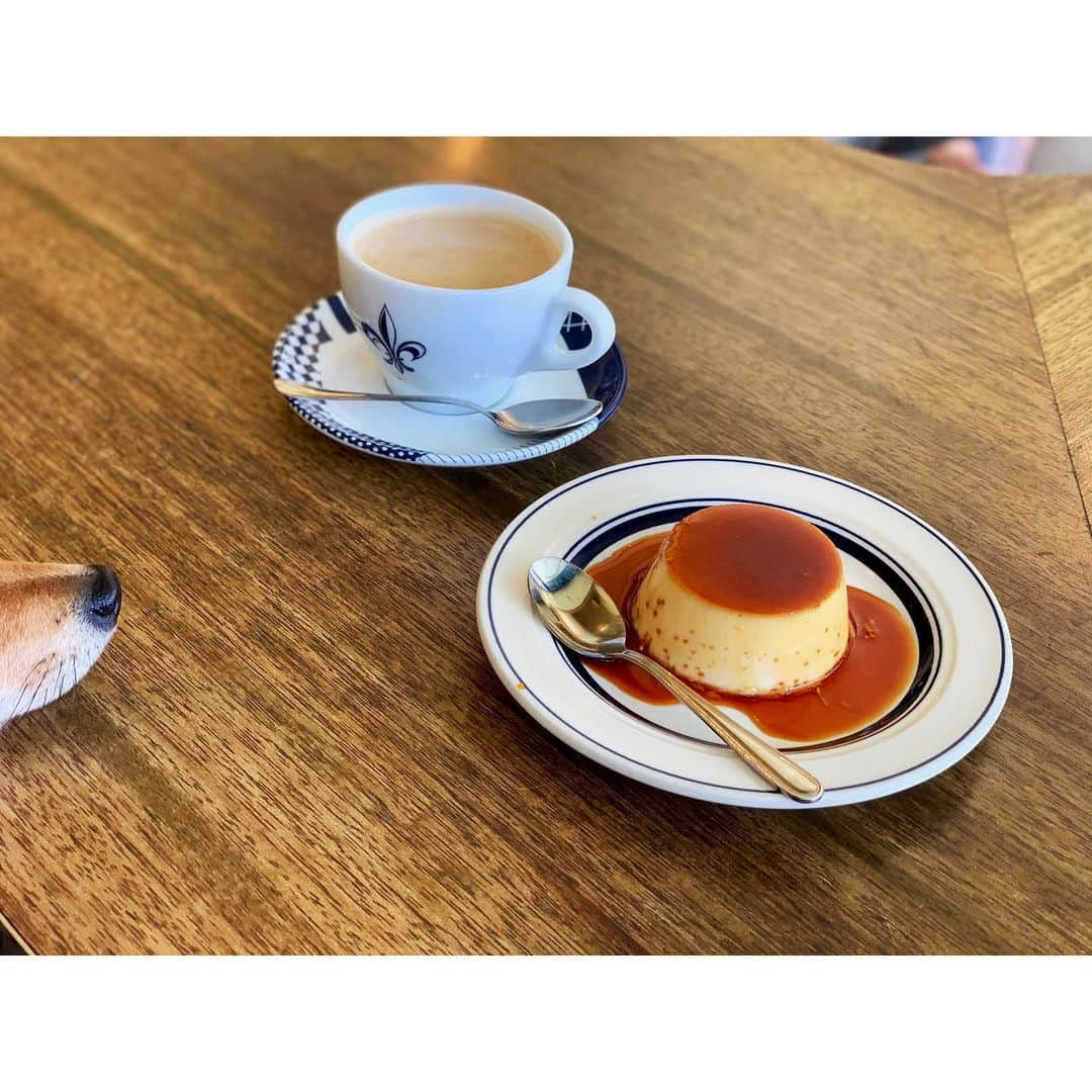 VANRIさんのインスタグラム写真 - (VANRIInstagram)「☕️🍮 プレミアムじゃないカスタードプリンを久しぶりに食べたら、あらびっくり！プリンの甘さとカラメルのほろ苦をいつも以上に感じて本来の美味さを知った。当分プレミアムとはおさらばしそうな予感。 #coffeehousenishiya #コーヒーハウスニシヤ  #mycoffeemystyle_chn  #豆柴 #日本犬 #柴犬 #しばすたぐらむ #cafelatte #custardpudding  #カフェラテ #カスタードプリン #シンプルの日」5月9日 20時47分 - vanri0121