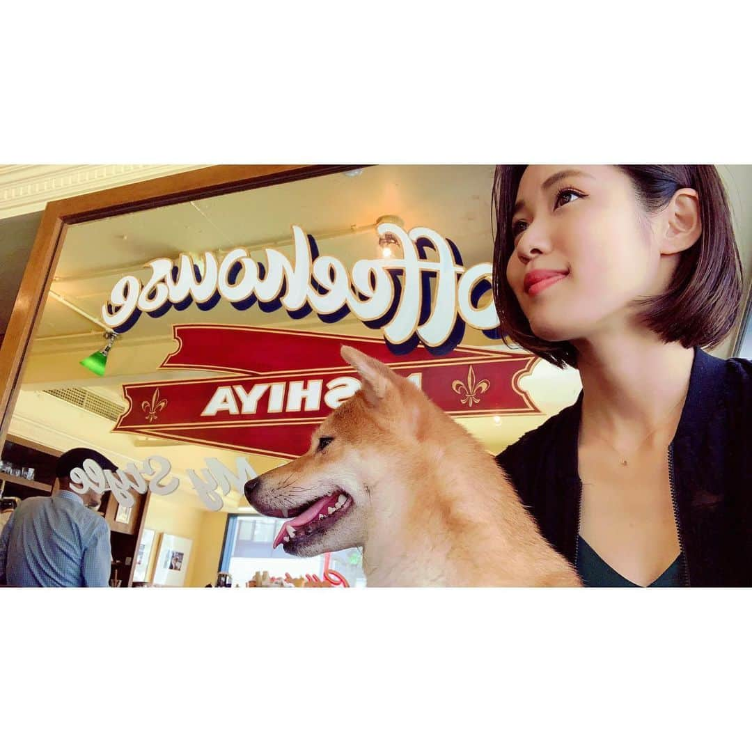 VANRIさんのインスタグラム写真 - (VANRIInstagram)「☕️🍮 プレミアムじゃないカスタードプリンを久しぶりに食べたら、あらびっくり！プリンの甘さとカラメルのほろ苦をいつも以上に感じて本来の美味さを知った。当分プレミアムとはおさらばしそうな予感。 #coffeehousenishiya #コーヒーハウスニシヤ  #mycoffeemystyle_chn  #豆柴 #日本犬 #柴犬 #しばすたぐらむ #cafelatte #custardpudding  #カフェラテ #カスタードプリン #シンプルの日」5月9日 20時47分 - vanri0121