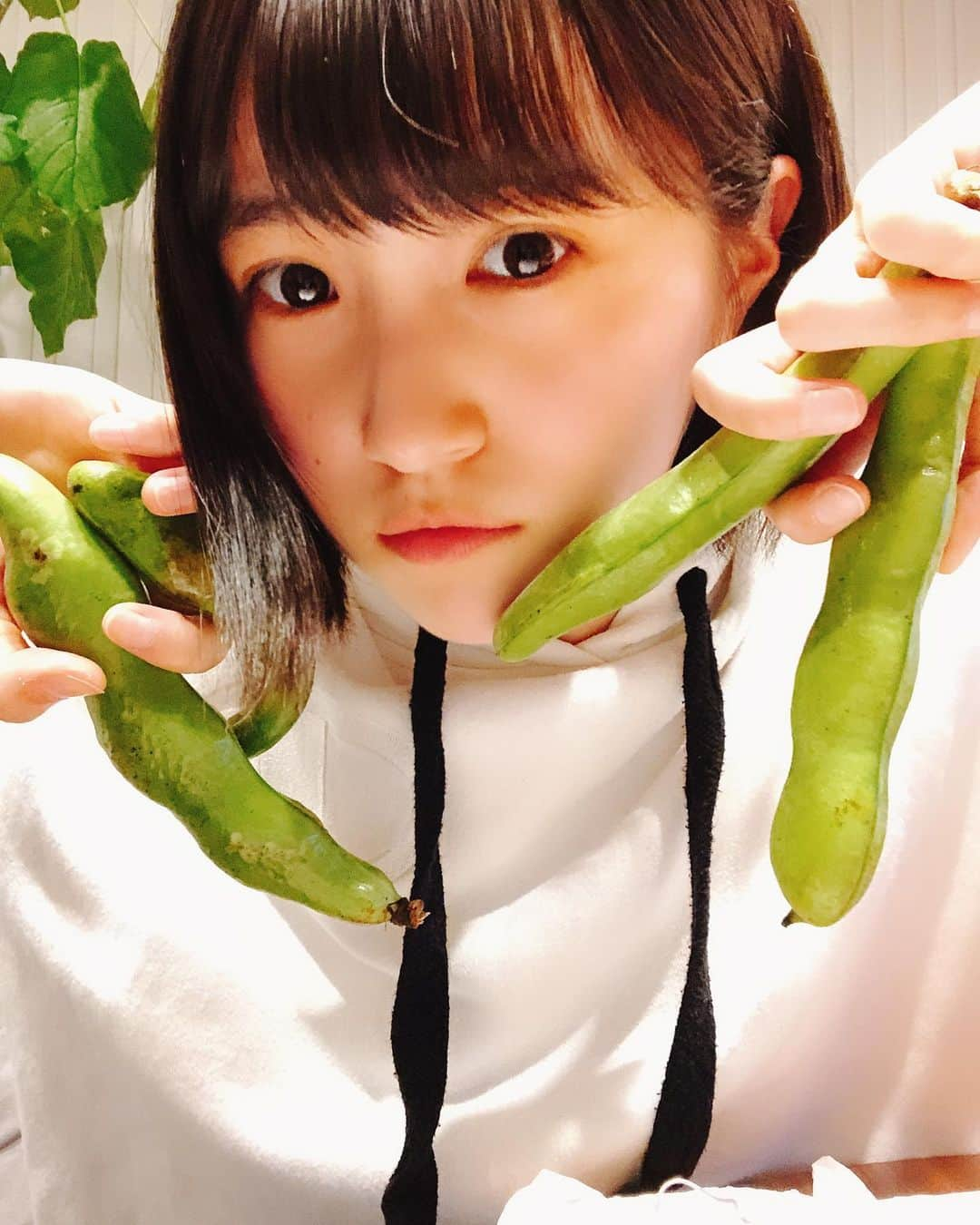 坂本 愛玲菜さんのインスタグラム写真 - (坂本 愛玲菜Instagram)「そら豆アイドル #そら豆の絵文字ほしい」5月9日 20時56分 - erena_hkt48