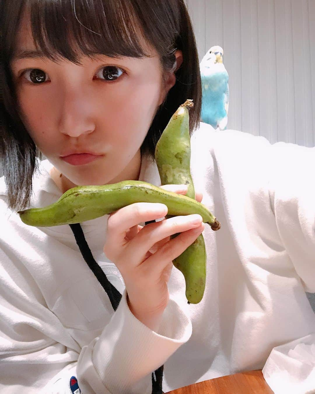 坂本 愛玲菜さんのインスタグラム写真 - (坂本 愛玲菜Instagram)「そら豆アイドル #そら豆の絵文字ほしい」5月9日 20時56分 - erena_hkt48